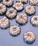 Nickel “R” Rounds